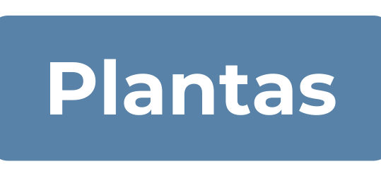 Plantas